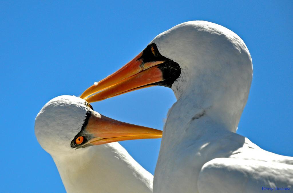 Galapagos Eco Friendly Bed & Breakfast Puerto Baquerizo Moreno Luaran gambar