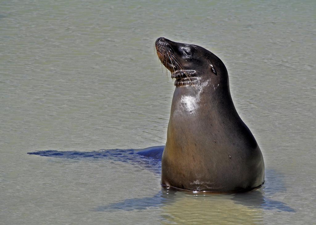 Galapagos Eco Friendly Bed & Breakfast Puerto Baquerizo Moreno Luaran gambar